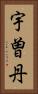 宇曽丹 Vertical Portrait
