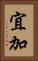 宜加 Vertical Portrait