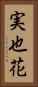 実也花 Vertical Portrait