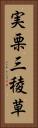 実栗 Vertical Portrait