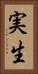 実生 Vertical Portrait