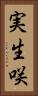 実生咲 Vertical Portrait