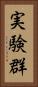 実験群 Vertical Portrait