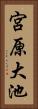 宮原大池 Vertical Portrait