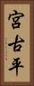 宮古平 Vertical Portrait