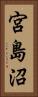 宮島沼 Vertical Portrait