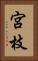 宮枝 Vertical Portrait