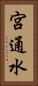 宮通水 Vertical Portrait