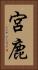 宮鹿 Vertical Portrait