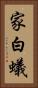 家白蟻 Vertical Portrait