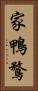 家鴨 Vertical Portrait