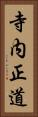 寺内正道 Vertical Portrait
