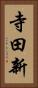寺田新 Vertical Portrait