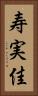 寿実佳 Vertical Portrait