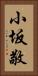 小坂敬 Vertical Portrait