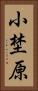 小埜原 Vertical Portrait