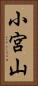 小宮山 Vertical Portrait