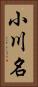 小川名 Vertical Portrait