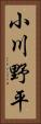 小川野平 Vertical Portrait