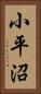 小平沼 Vertical Portrait