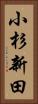 小杉新田 Vertical Portrait