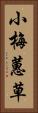 小梅蕙草 Vertical Portrait