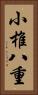 小椎八重 Vertical Portrait