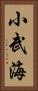 小武海 Vertical Portrait