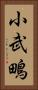 小武鴫 Vertical Portrait