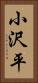 小沢平 Vertical Portrait