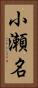 小瀬名 Vertical Portrait