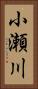 小瀬川 Vertical Portrait