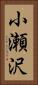 小瀬沢 Vertical Portrait