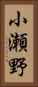 小瀬野 Vertical Portrait