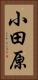 小田原 Vertical Portrait