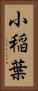小稲葉 Vertical Portrait