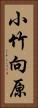 小竹向原 Vertical Portrait
