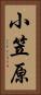 小笠原 Vertical Portrait
