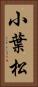 小葉松 Vertical Portrait