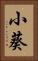 小葵 Vertical Portrait