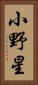 小野星 Vertical Portrait