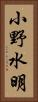 小野水明 Vertical Portrait