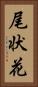 尾状花 Vertical Portrait