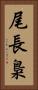 尾長梟 Vertical Portrait