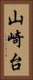 山崎台 Vertical Portrait