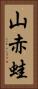 山赤蛙 Vertical Portrait