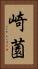 崎薗 Vertical Portrait