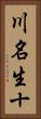 川名生十 Vertical Portrait