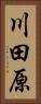川田原 Vertical Portrait