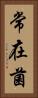 常在菌 Vertical Portrait